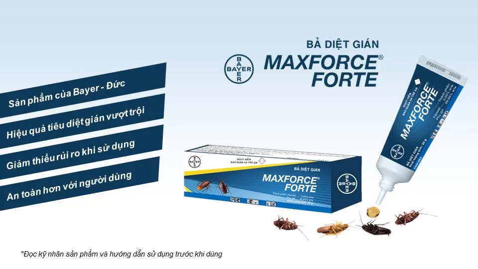 Bả diệt gián Maxforce Forte