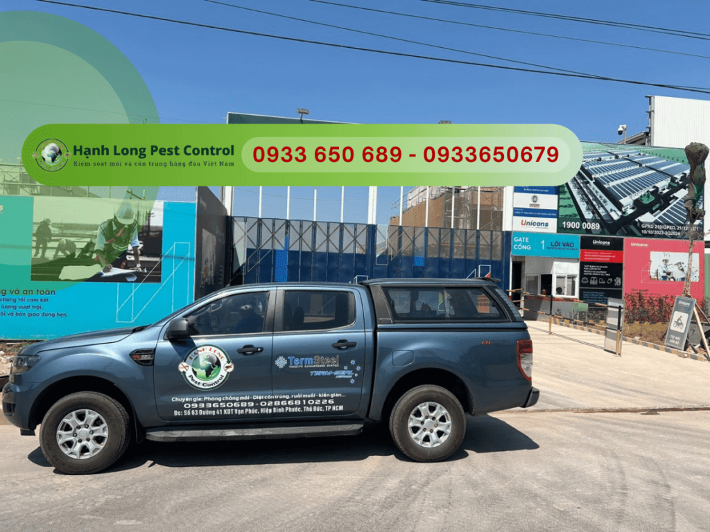 Diệt mối Vũng Tàu tận gốc