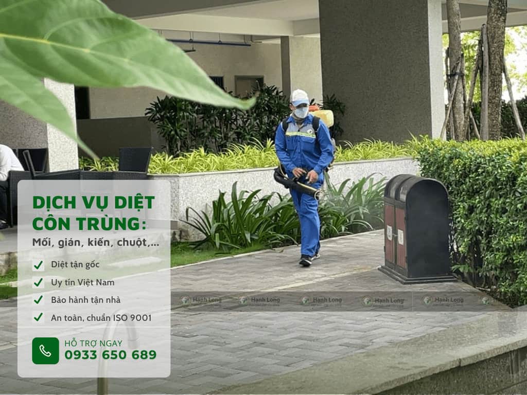 dịch vụ diệt muỗi tại hcm
