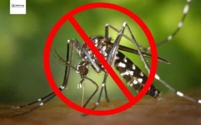 Cách làm dung dịch đuổi muỗi – Bảo vệ gia tăng chống muỗi