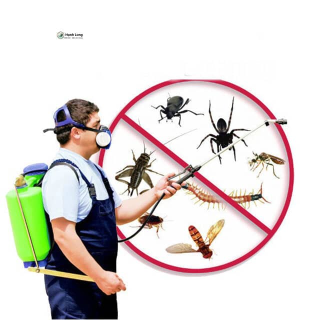 sử dụng thuốc diệt muỗi permethrin 50ec thế nào cho an toàn