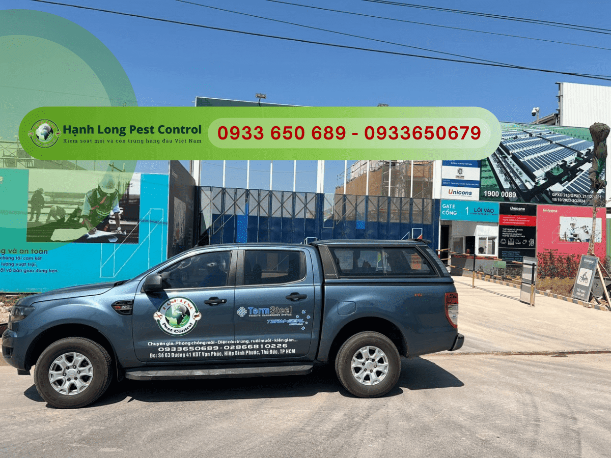 Công ty diệt côn trùng chuyên nghiệp - giá rẻ