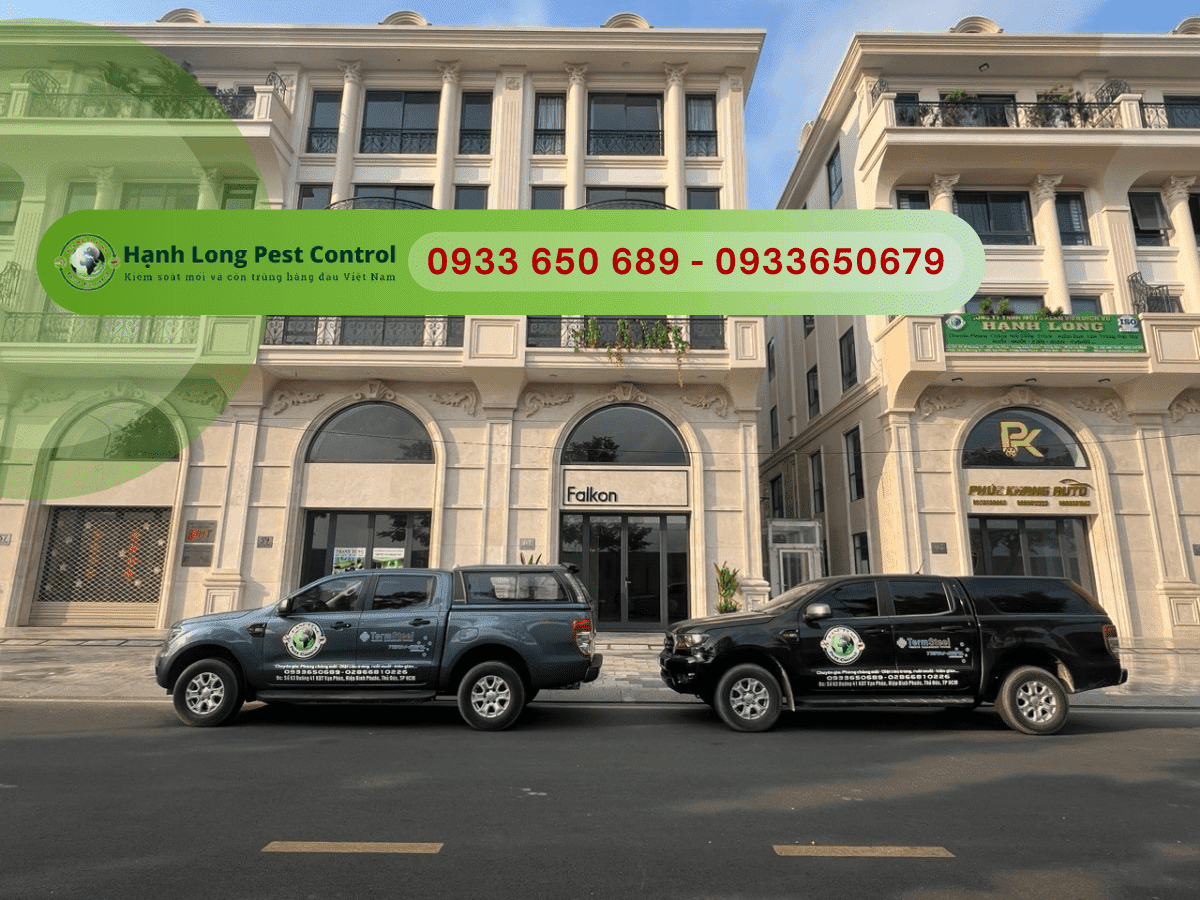 Công ty diệt côn trùng Hạnh Long Pest Control
